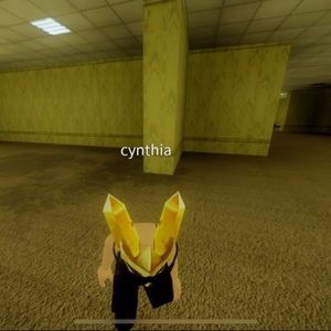 Meet your Posher, Cynthia